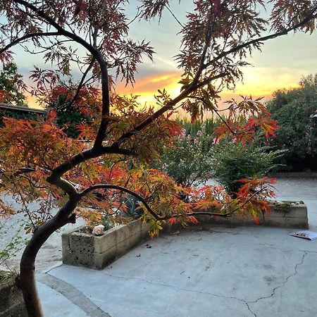 B&B La Cascina Di Alice Castiglione Delle Stiviere Buitenkant foto