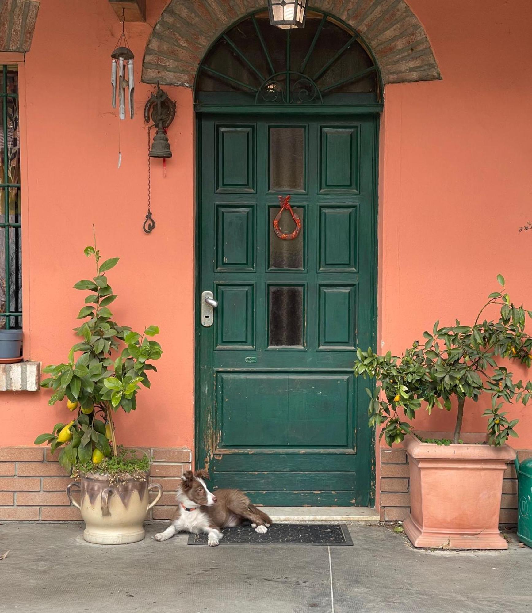 B&B La Cascina Di Alice Castiglione Delle Stiviere Buitenkant foto